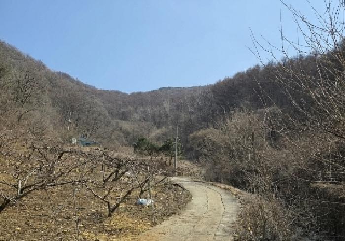 충청북도 충주시 주덕읍 삼청리 18-1 답 경매 사진 7