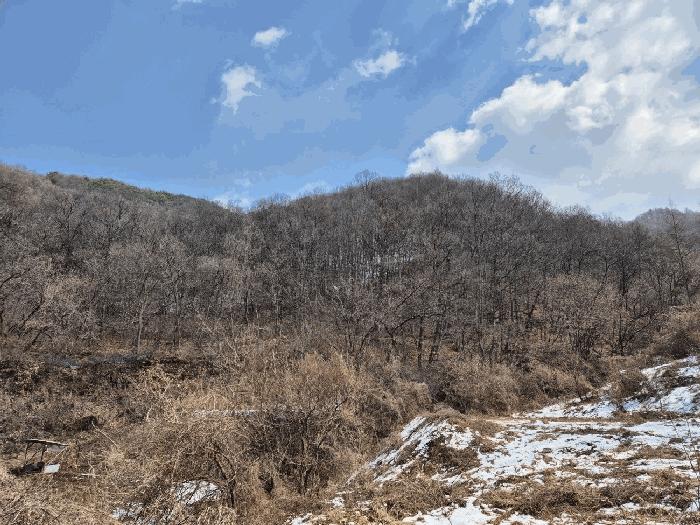 충청북도 충주시 임야