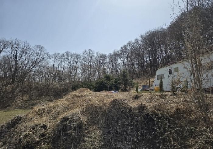 충청북도 음성군 생극면 관성리 176-2 임야 경매 사진 11