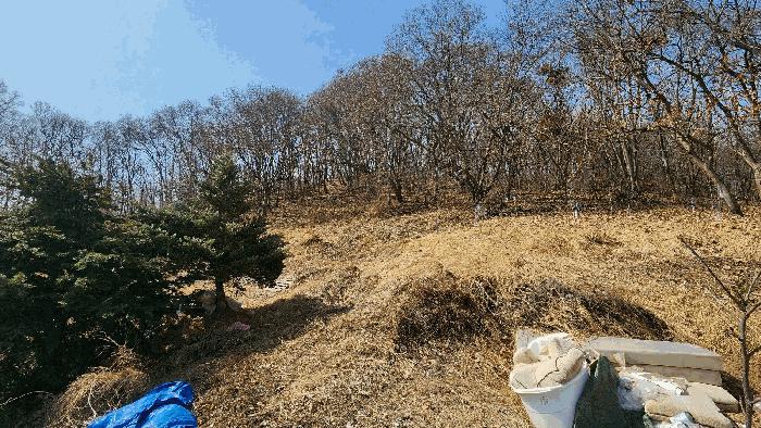 충청북도 음성군 생극면 관성리 176-2 임야 경매 사진 3