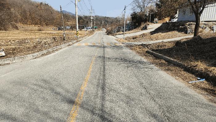 충청북도 음성군 생극면 관성리 176-2 임야 경매 사진 4