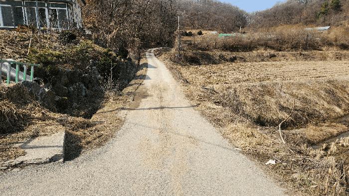충청북도 음성군 생극면 관성리 176-2 임야 경매 사진 8