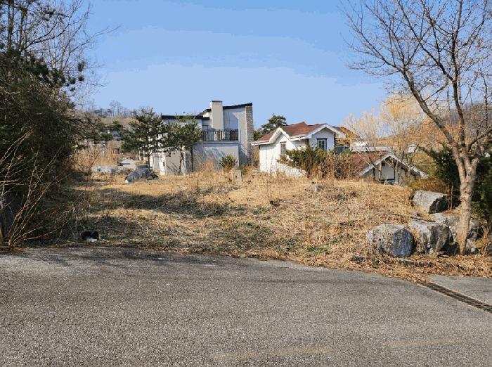 충청북도 음성군 감곡면 오궁리 460-27 임야 경매 사진 6