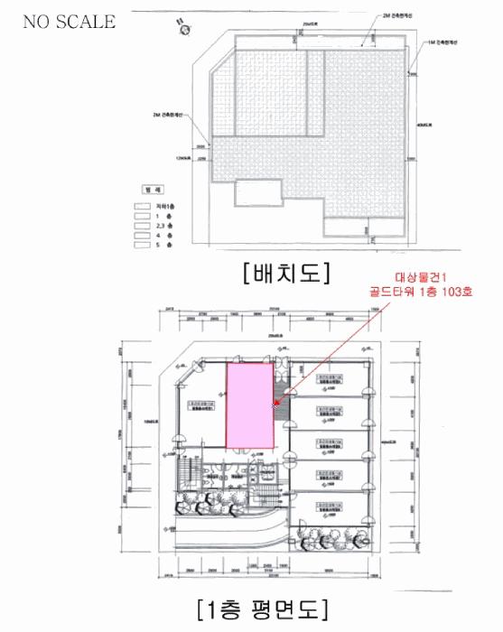 충청북도 음성군 맹동면 동성리 455 골드타워 1층103호 근린상가 경매 사진 10