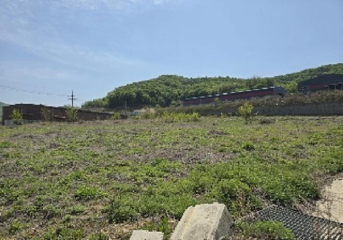 충청북도 음성군 감곡면 오향리 703-8 전 경매 사진 10
