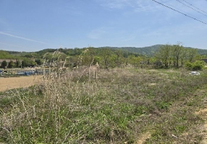 충청북도 음성군 감곡면 오향리 703-8 전 경매 사진 12