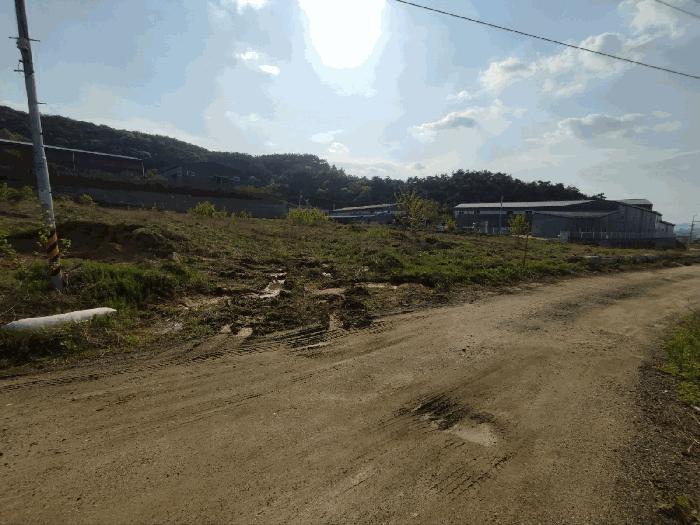 충청북도 음성군 감곡면 오향리 703-8 전 경매 사진 8