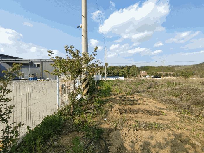 충청북도 음성군 감곡면 오향리 716-2 전 경매 사진 7