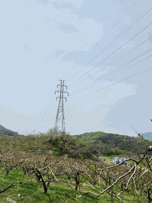 충청북도 충주시 앙성면 능암리 597 전 경매 사진 10