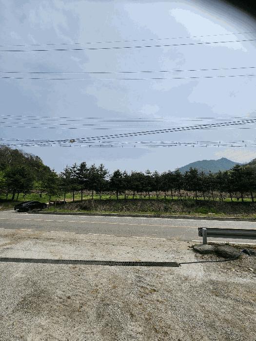 충청북도 충주시 앙성면 능암리 597 전 경매 사진 11