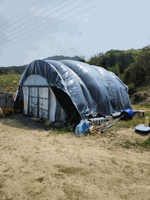 충청북도 충주시 앙성면 능암리 597 전 경매 사진 14