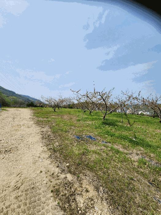 충청북도 충주시 앙성면 능암리 597 전 경매 사진 15