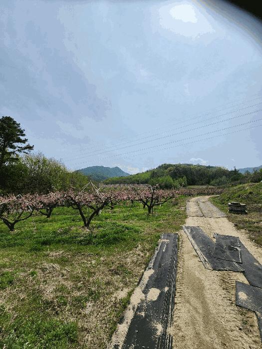 충청북도 충주시 앙성면 능암리 597 전 경매 사진 16
