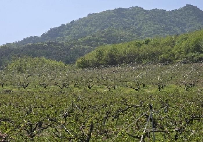 충청북도 충주시 앙성면 능암리 597 전 경매 사진 22