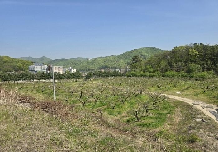 충청북도 충주시 앙성면 능암리 597 전 경매 사진 23
