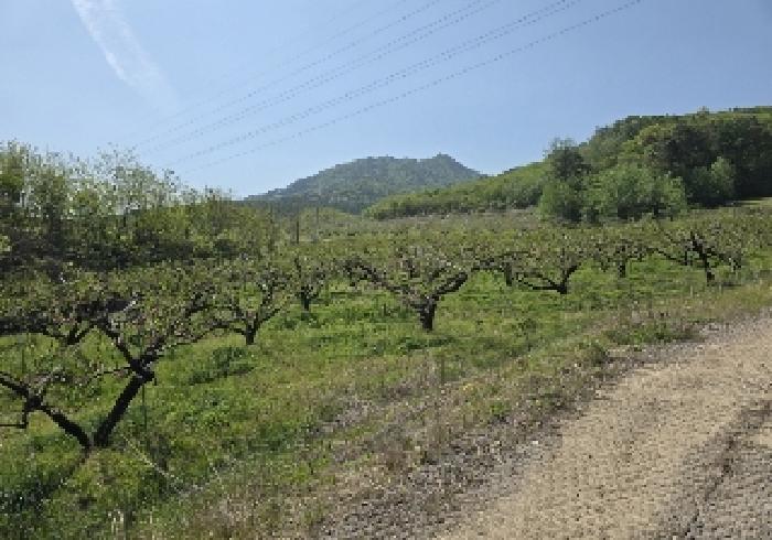 충청북도 충주시 앙성면 능암리 597 전 경매 사진 24