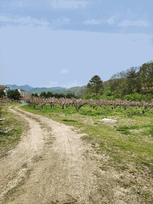 충청북도 충주시 앙성면 능암리 597 전 경매 사진 5