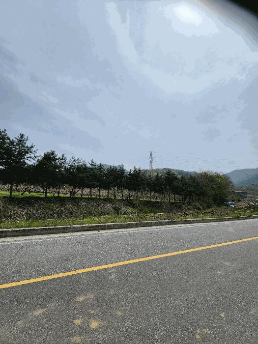 충청북도 충주시 앙성면 능암리 597 전 경매 사진 6