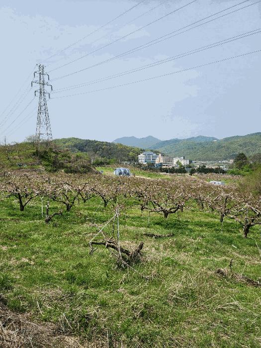 충청북도 충주시 앙성면 능암리 597 전 경매 사진 7