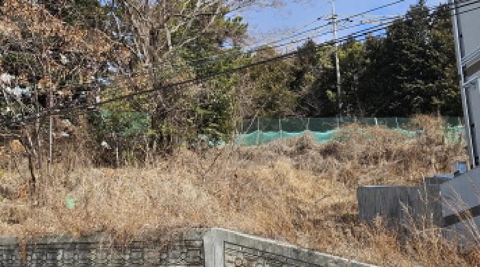 전라남도 여수시 문수동 265-12 임야 경매 사진 11