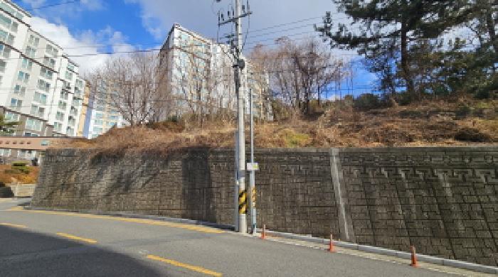 전라남도 여수시 문수동 265-12 임야 경매 사진 14