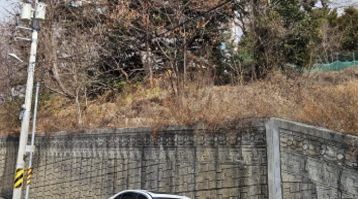 전라남도 여수시 문수동 265-12 임야 경매 사진 21
