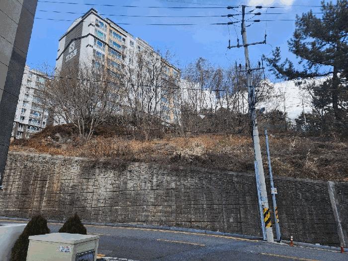 전라남도 여수시 문수동 265-12 임야 경매 사진 3