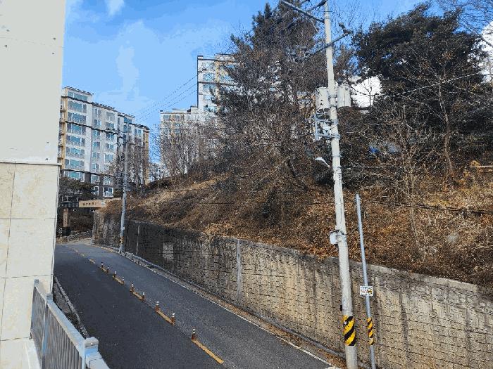 전라남도 여수시 문수동 265-12 임야 경매 사진 5