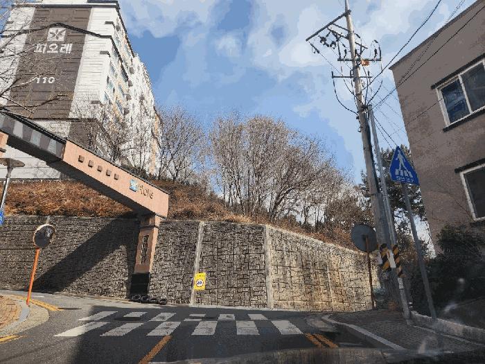 전라남도 여수시 문수동 265-12 임야 경매 사진 7