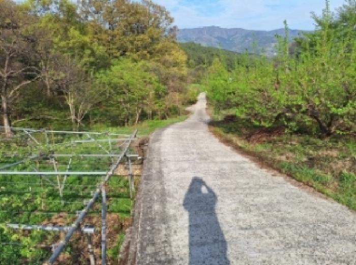 전라남도 광양시 옥룡면 추산리 1454 전 경매 사진 18