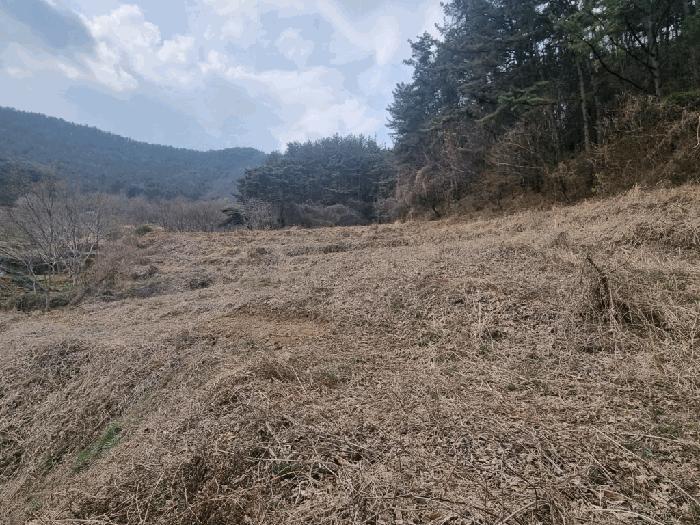 전라남도 광양시 옥룡면 추산리 1454 전 경매 사진 2
