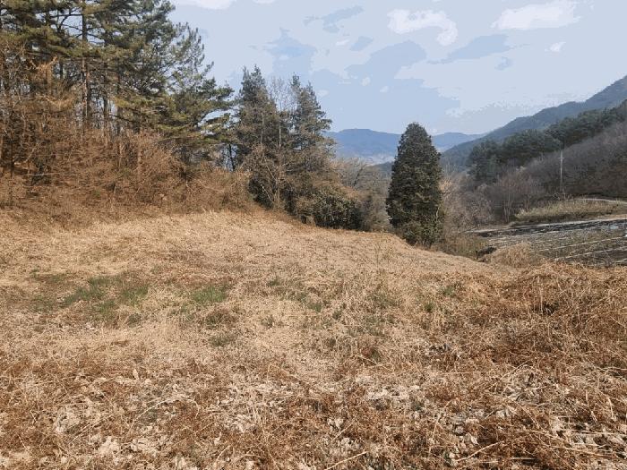 전라남도 광양시 옥룡면 추산리 1454 전 경매 사진 4