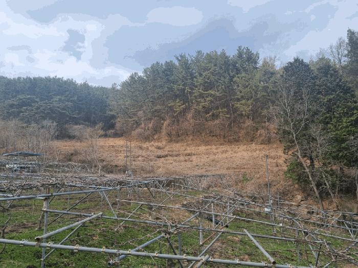 전라남도 광양시 옥룡면 추산리 1454 전 경매 사진 5