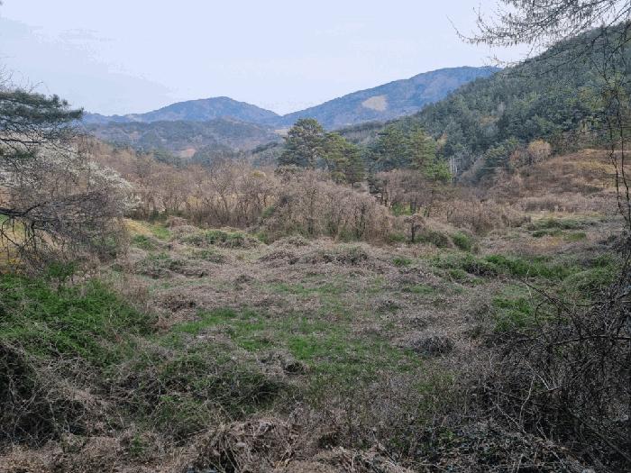 전라남도 광양시 옥룡면 추산리 1454 전 경매 사진 6