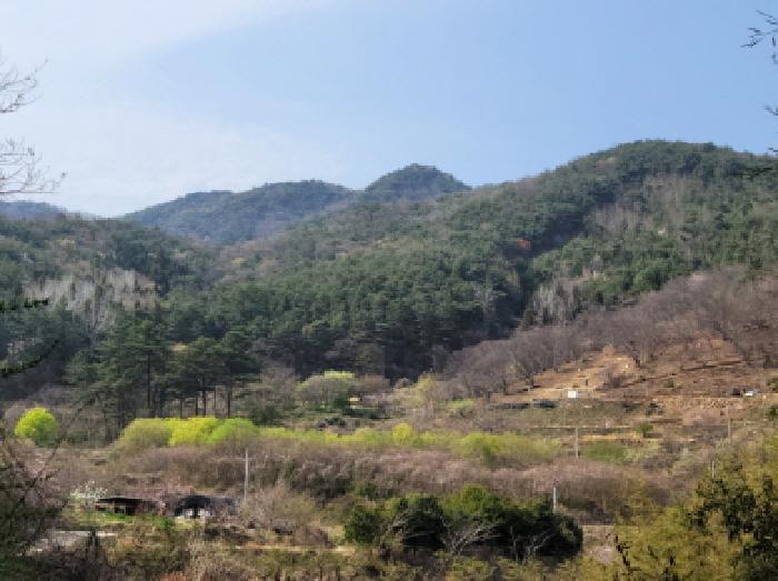 전라남도 광양시 옥룡면 추산리 1454 전 경매 사진 7