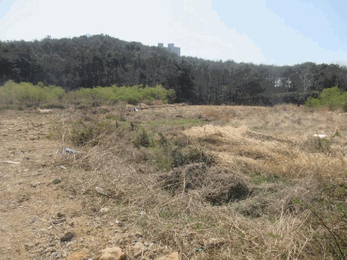 전라남도 광양시 광양읍 우산리 927 답 경매 사진 3