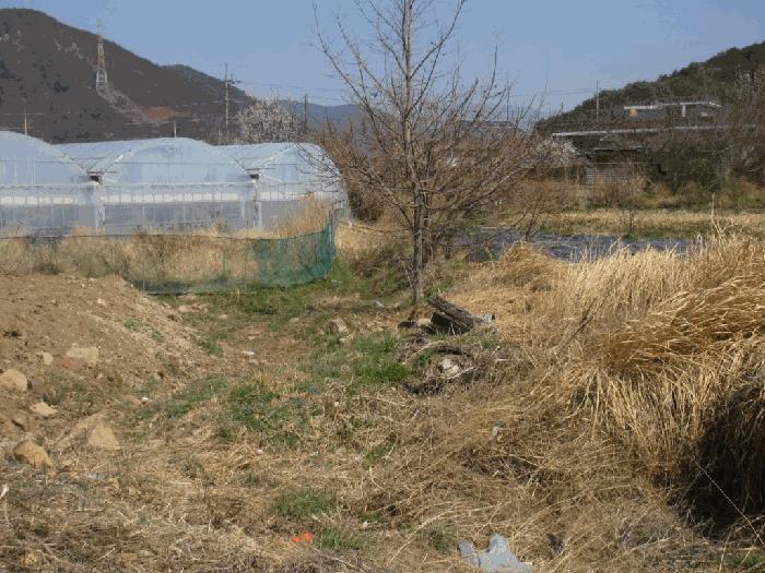 전라남도 광양시 광양읍 우산리 927 답 경매 사진 4