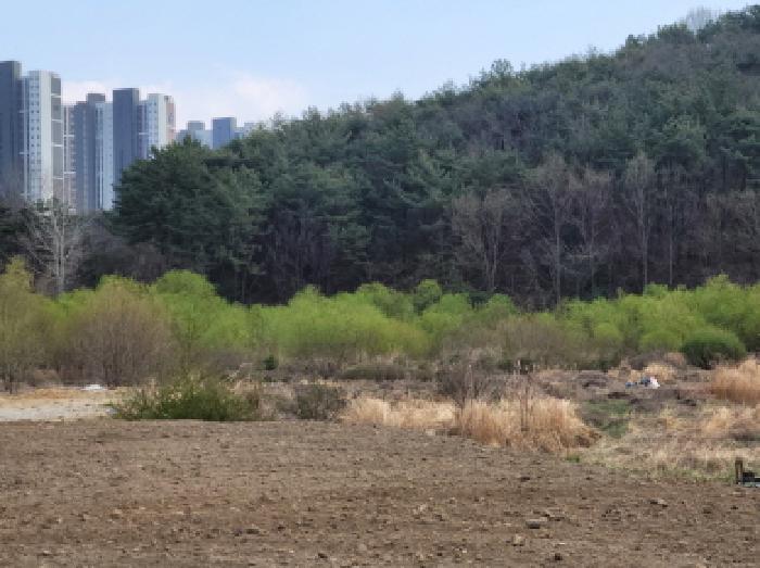 전라남도 광양시 광양읍 우산리 927 답 경매 사진 8