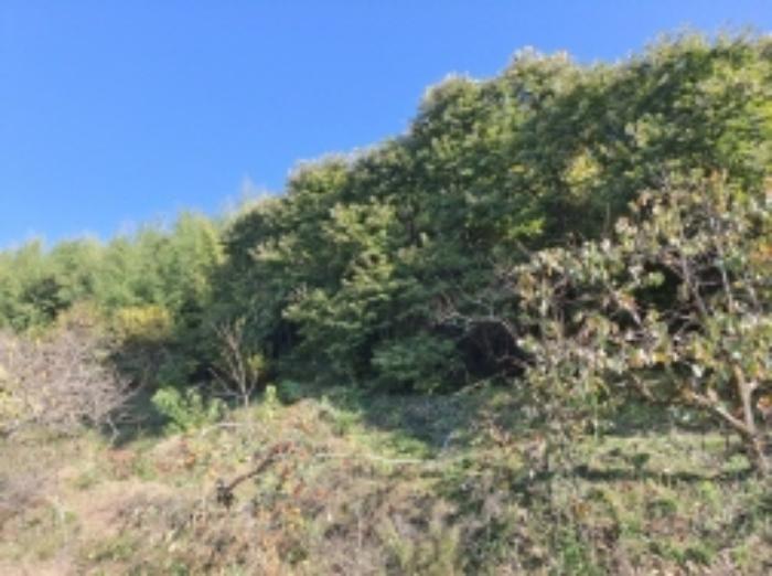 경상남도 하동군 금남면 계천리 333-1 전 경매 사진 17