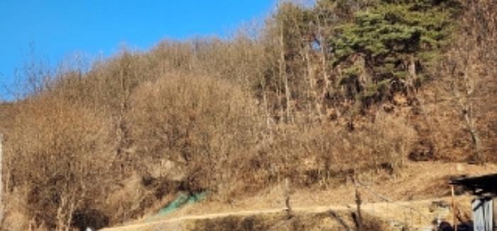 경상북도 안동시 와룡면 주하리 323 임야 경매 사진 10