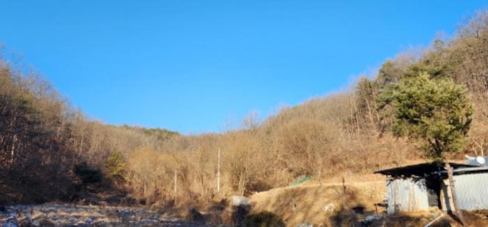 경상북도 안동시 와룡면 주하리 229 전 경매 사진 7