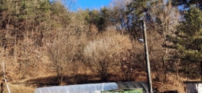경상북도 안동시 와룡면 주하리 309 전 경매 사진 9