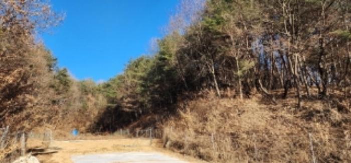 경상북도 안동시 와룡면 주하리 321 답 경매 사진 8