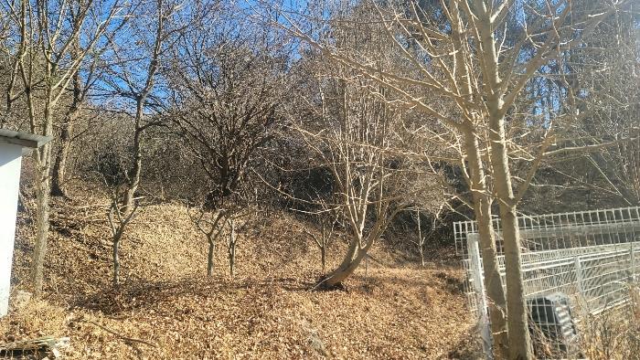 경상북도 안동시 와룡면 주하리 318 전 경매 사진 2