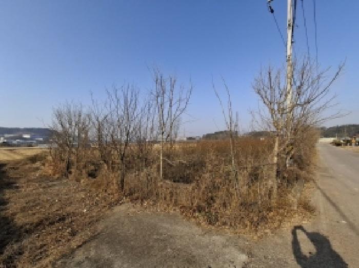 경상남도 사천시 사천읍 두량리 1486 답 경매 사진 7