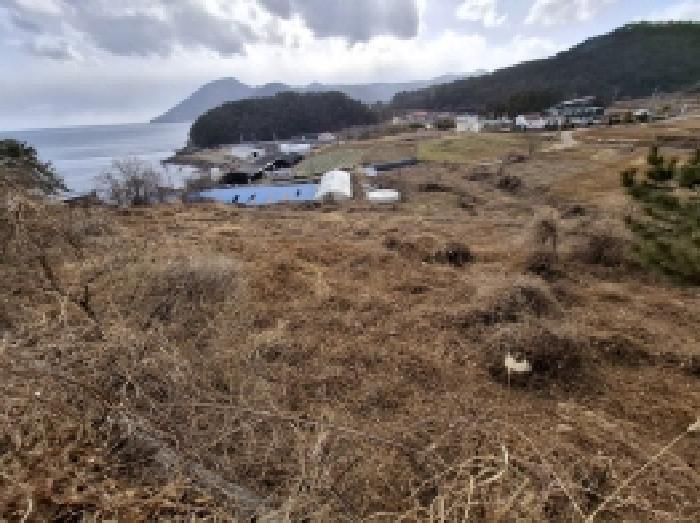 경상남도 남해군 이동면 용소리 1281-32 전 경매 사진 3