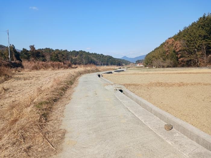 경상남도 남해군 남해읍 입현리 1026 답 경매 사진 2