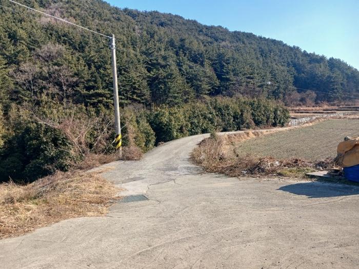 경상남도 남해군 남해읍 입현리 1026 답 경매 사진 3