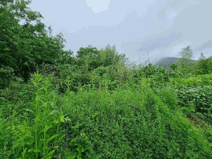 전라남도 고흥군 대지