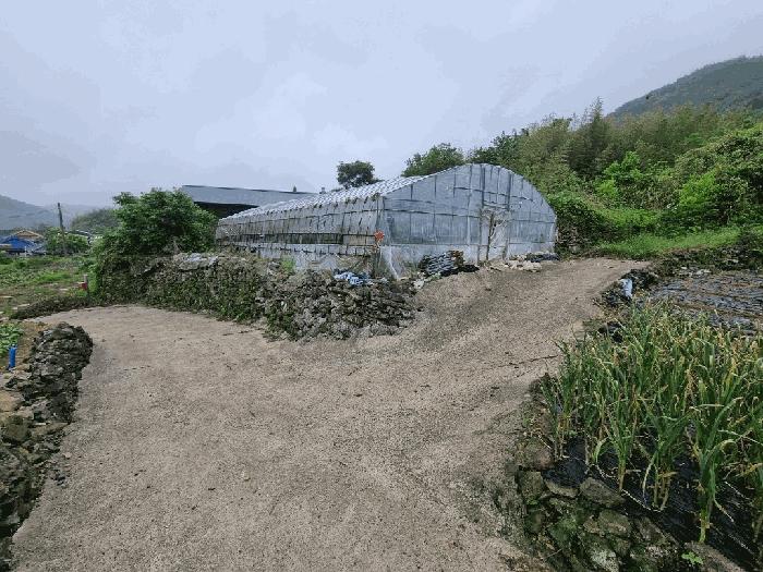 전라남도 고흥군 점암면 대룡리 486 대지 경매 사진 2